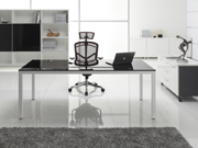 Fashion Executive Desk