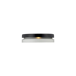 Toric Suspension Ceiling Lamp